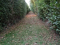 futur trail 050